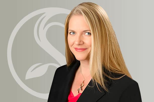 Image of Attorney Diane Anderson - THE LAW OFFICES OF DIANE ANDERSON